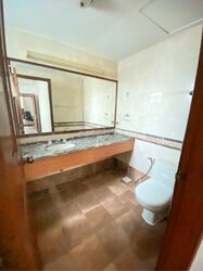 Gold Palm Mansion (D15), Apartment #636454251